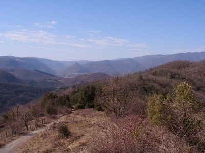 Le massif de l'Aigoual coté Sud