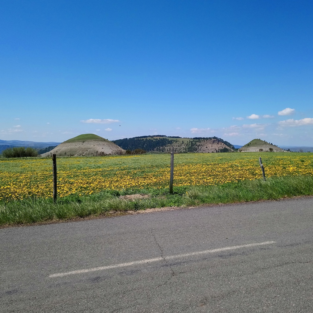 Sur le mont Lozère